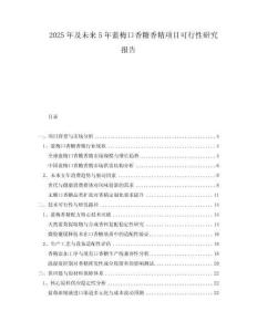 2025年及未來5年藍梅口香糖香精項目可行性研究報告
