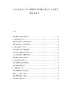 2025及未來5年中國蛋形毛巾碟市場分析及數(shù)據(jù)監(jiān)測研究報告