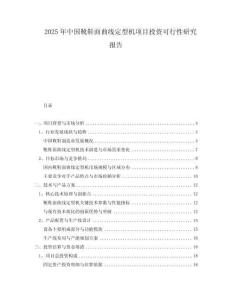 2025年中國靴鞋面曲線定型機(jī)項(xiàng)目投資可行性研究報(bào)告