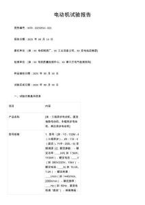 電動機試驗報告