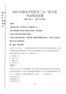 麗水市松陽縣三支一扶考試真題2025