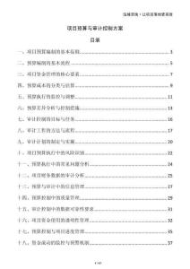 項(xiàng)目預(yù)算與審計(jì)控制方案