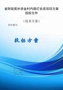 省財(cái)政獎(jiǎng)補(bǔ)資金村內(nèi)路燈安裝項(xiàng)目服務(wù)方案投標(biāo)文件（技術(shù)標(biāo)）