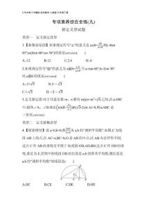 09-專項(xiàng)素養(yǎng)綜合全練(九)(2)