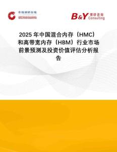 2025年中國(guó)混合內(nèi)存（HMC）和高帶寬內(nèi)存（HBM）行業(yè)市場(chǎng)前景預(yù)測(cè)及投資價(jià)值評(píng)估分析報(bào)告