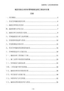 城區(qū)市政公共供水管網(wǎng)漏損治理工程技術(shù)方案