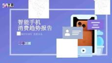 2025智能手機(jī)消費(fèi)趨勢(shì)報(bào)告