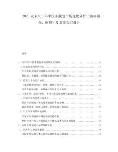 2025及未來5年中國手挽包市場現(xiàn)狀分析（數(shù)據(jù)調(diào)查、監(jiān)測）及前景探究報告