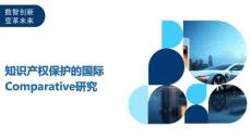 知識產權保護的國際Comparative研究-洞察及研究