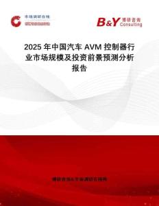 2025年中國汽車AVM控制器行業(yè)市場規(guī)模及投資前景預測分析報告