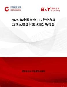 2025年中國(guó)電池 TIC行業(yè)市場(chǎng)規(guī)模及投資前景預(yù)測(cè)分析報(bào)告