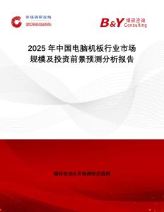 2025年中國電腦機(jī)板行業(yè)市場規(guī)模及投資前景預(yù)測分析報告