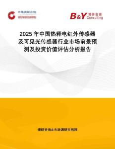 2025年中國熱釋電紅外傳感器及可見光傳感器行業(yè)市場前景預(yù)測及投資價值評估分析報告