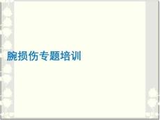 腕損傷專題培訓PPT課件