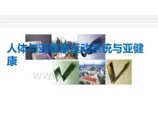 人体与亚健康运动系统与亚健康PPT课件