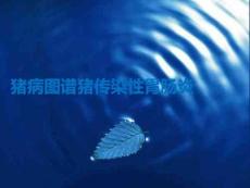 豬病圖譜豬傳染性胃腸炎PPT課件