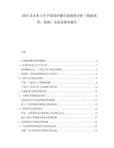 2025及未來5年中國深沖罐市場現(xiàn)狀分析（數(shù)據(jù)調(diào)查、監(jiān)測）及前景探究報告