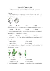 2025年寧夏中考生物試題（附答案解析）
