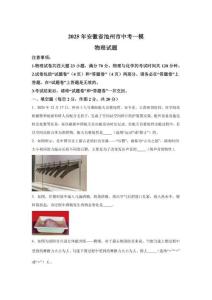 2025年安徽池州市中考一模物理試卷試題（含答案詳解） (2)