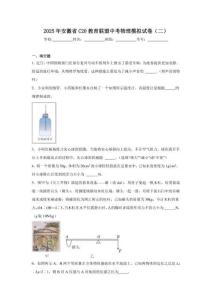 2025年安徽省C20教育聯(lián)盟中考物理模擬試卷（二）（附答案解析）