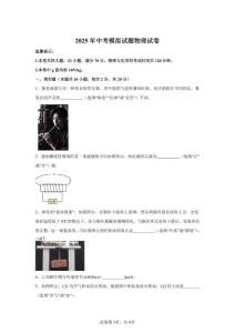 2025年安徽銅陵市中考一模物理試卷試題（含答案詳解）