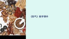 《陽(yáng)氣》教學(xué)課件