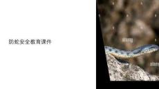 防蛇安全教育課件