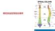 脊柱安全区带划分课件