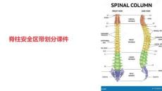 脊柱安全區(qū)帶劃分課件