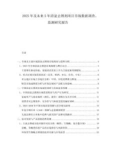 2025年及未來5年浴盆去銹劑項目市場數(shù)據(jù)調(diào)查、監(jiān)測研究報告