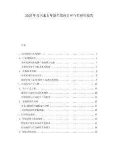 2025年及未來5年滌毛毯項(xiàng)目可行性研究報(bào)告