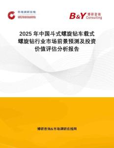 2025年中國斗式螺旋鉆車載式螺旋鉆行業市場前景預測及投資價值評估分析報告