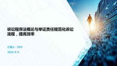 訴訟程序法概論與舉證責任規范化訴訟流程，提高效率