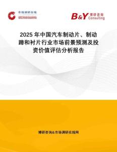 2025年中國汽車制動片、制動蹄和襯片行業(yè)市場前景預(yù)測及投資價值評估分析報告