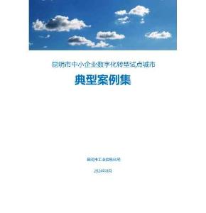 2024昆明市中小企業(yè)數(shù)字化轉(zhuǎn)型試點城市典型案例集
