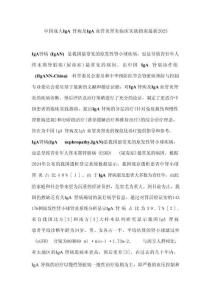 中國(guó)成人IgA腎病及IgA血管炎腎炎臨床實(shí)踐指南最新2025