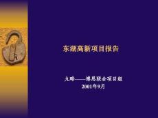 九略—東湖高新—集團戰略澄清報告-娟