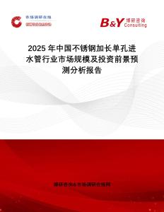 2025年中國不銹鋼加長單孔進(jìn)水管行業(yè)市場規(guī)模及投資前景預(yù)測分析報(bào)告