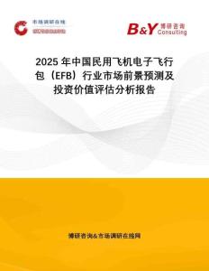 2025年中國民用飛機電子飛行包（EFB）行業市場前景預測及投資價值評估分析報告