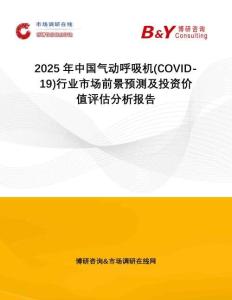 2025年中國氣動呼吸機(COVID-19)行業(yè)市場前景預(yù)測及投資價值評估分析報告
