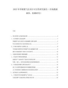 2025年單眼煤氣灶項(xiàng)目可行性研究報(bào)告（市場(chǎng)數(shù)據(jù)調(diào)查、監(jiān)測(cè)研究）