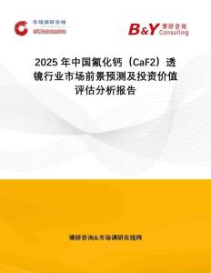 2025年中國氟化鈣（CaF2）透鏡行業(yè)市場前景預(yù)測及投資價(jià)值評估分析報(bào)告