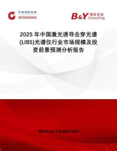 2025年中國激光誘導擊穿光譜(LIBS)光譜儀行業(yè)市場規(guī)模及投資前景預測分析報告