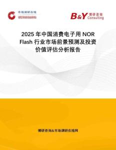 2025年中國消費(fèi)電子用NOR Flash行業(yè)市場前景預(yù)測及投資價值評估分析報告