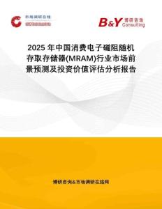 2025年中國(guó)消費(fèi)電子磁阻隨機(jī)存取存儲(chǔ)器(MRAM)行業(yè)市場(chǎng)前景預(yù)測(cè)及投資價(jià)值評(píng)估分析報(bào)告