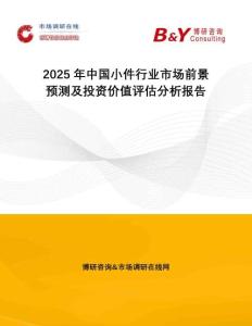 2025年中國(guó)小件行業(yè)市場(chǎng)前景預(yù)測(cè)及投資價(jià)值評(píng)估分析報(bào)告