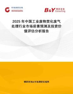 2025年中國工業廢物焚化廢氣處理行業市場前景預測及投資價值評估分析報告