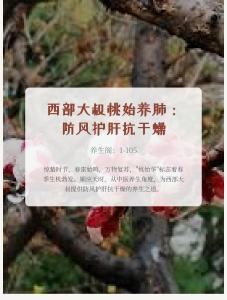 養(yǎng)生閣：1-105西部大叔桃始養(yǎng)肺：防風護肝抗干燥