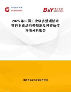 2025年中國工業(yè)級多壁碳納米管行業(yè)市場前景預(yù)測及投資價值評估分析報告