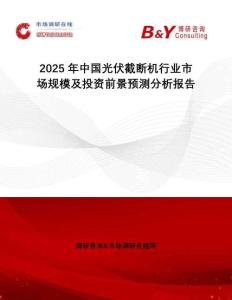 2025年中国光伏截断机行业市场规模及投资前景预测分析报告
